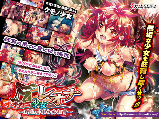 妹PCゲーム【オオカミ少女レオナ-野性崩壊白痴狂育-】パッケージ大