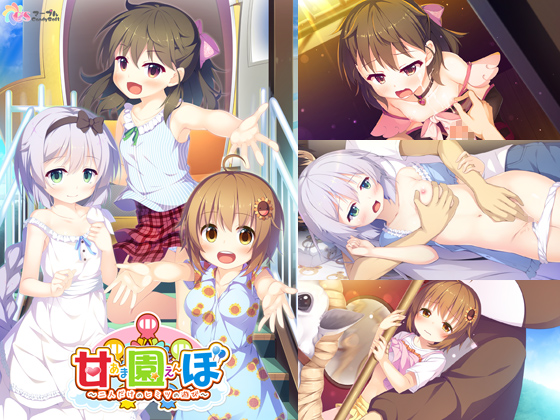 妹PCゲーム【甘園ぼ ~二人だけのヒミツの遊び~】パッケージ大