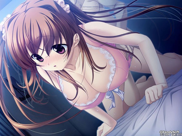 妹PCゲーム【主に交われば朱くなる】サンプル画像２