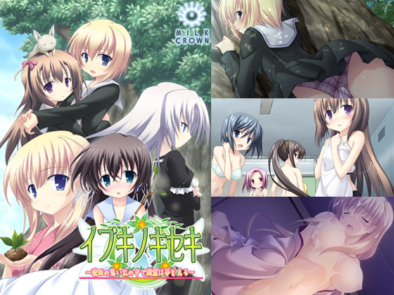 妹PCゲーム【イブキノキセキ~琥珀の思い出の中で精霊は夢を見る~】パッケージ大
