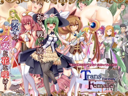 妹スマホゲーム【トランス・フィメール・ファンタジー レガシー】パッケージ大